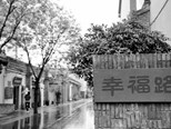 题材好，也要经营好——评刘先琴长篇报告文学《张庄之问》 