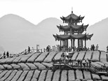 陆羽《茶经》与唐代茶文化 